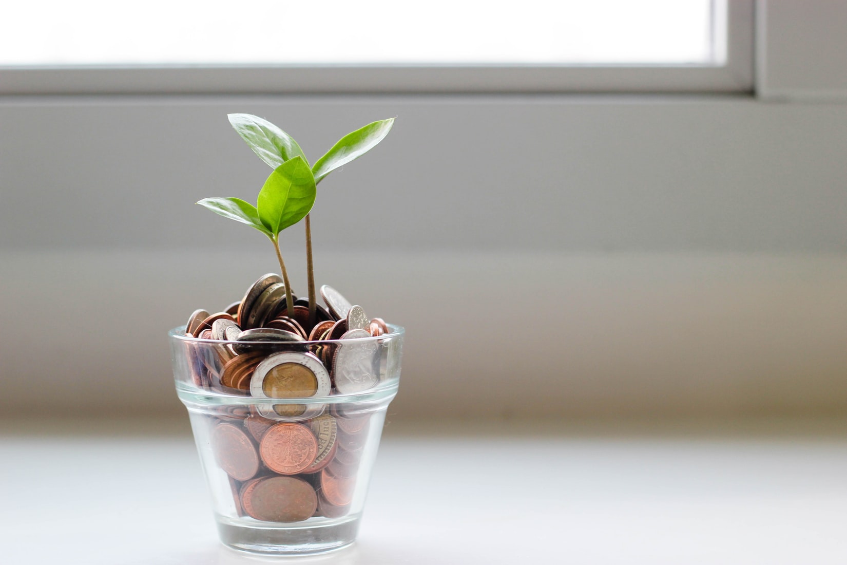 A small plant growing out of coins