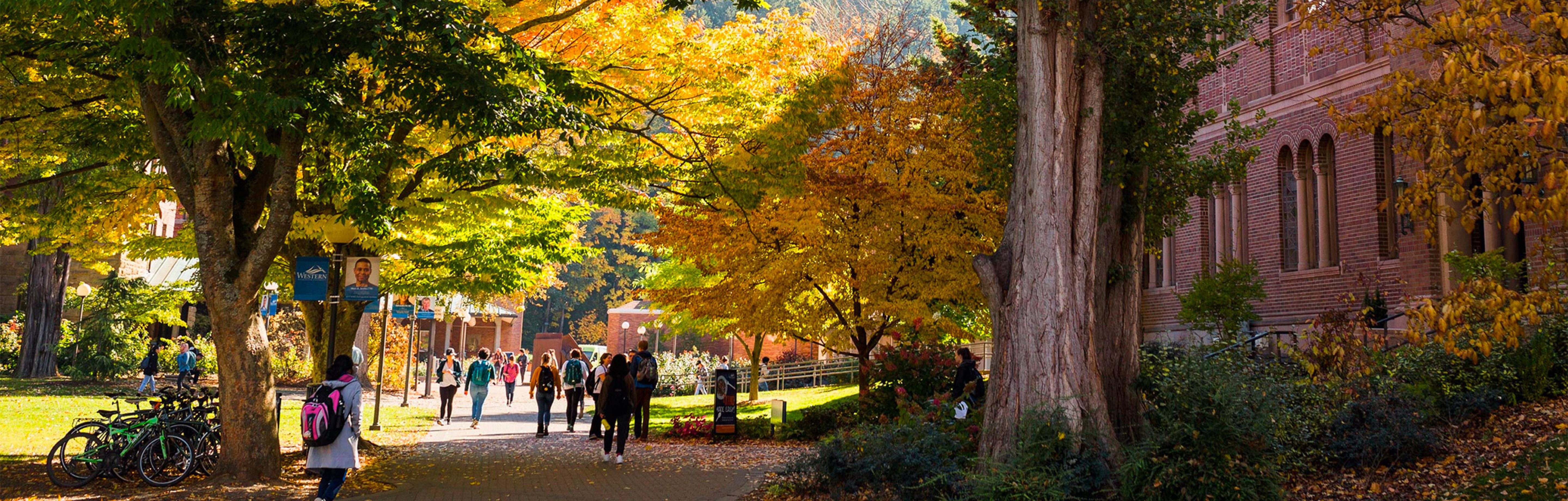 Sunny autumn day on WWU's North Campus near Wilson Library