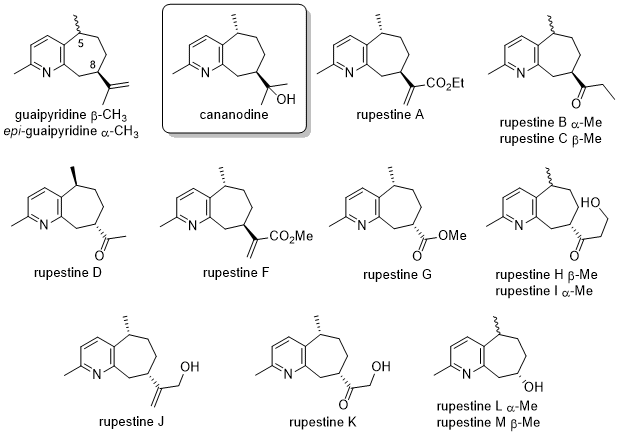 A series of chemical diagrams showing guaipyridine structs