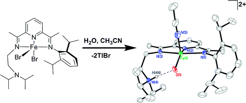 Synthesis and Stabilization of a Monomeric Iron(II) Hydroxo Complex via Intramolecular Hydrogen Bonding in the Secondary Coordination Sphere 