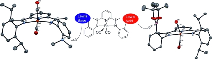 Pyridinediimine Iron Dicarbonyl Complexes with Pendant Lewis Bases and Lewis Acids Located in the Secondary Coordination Sphere.