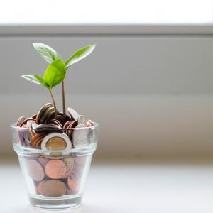 A small plant growing out of coins