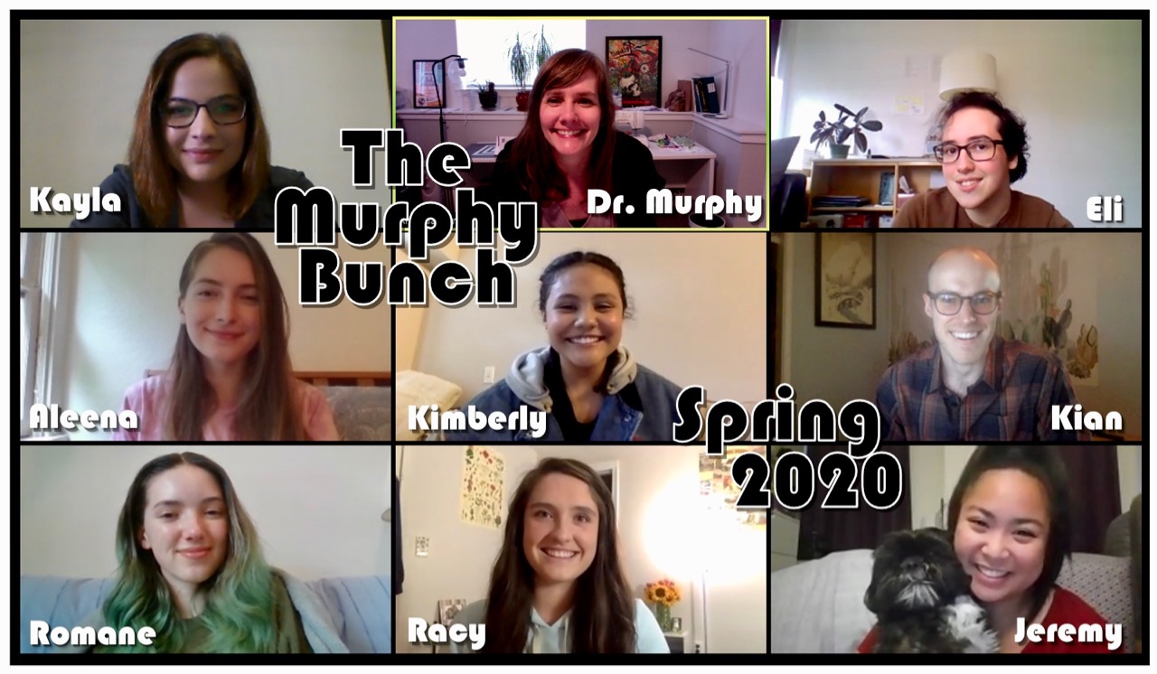 Screenshot of Zoom meeting with current Murphy Group Members